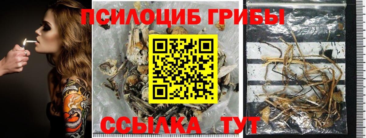 Шебекино  Псилоцибиновые грибы Magic Shrooms  Вход с VPN 
