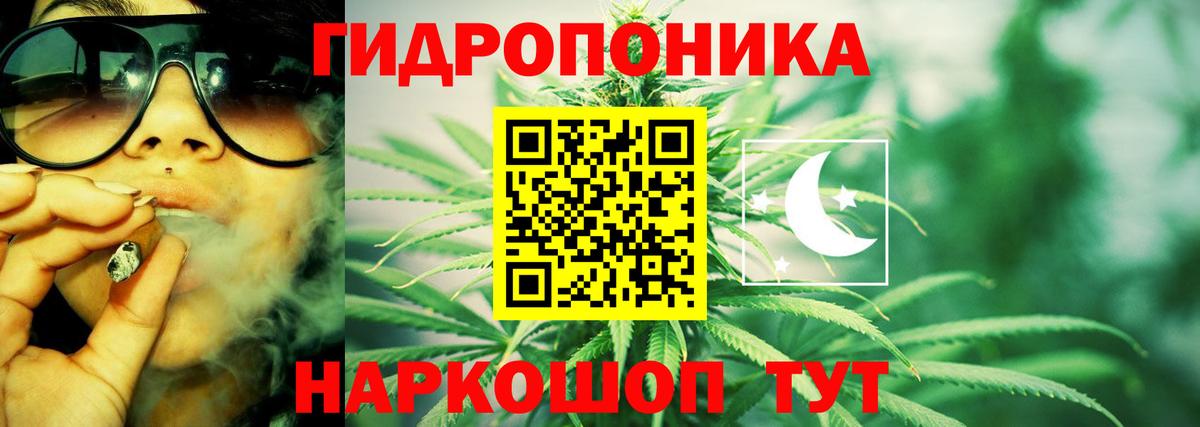 Шишки марихуана Ganja Шебекино
